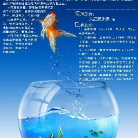 廣元晟泰環?？萍加邢薰? onerror=